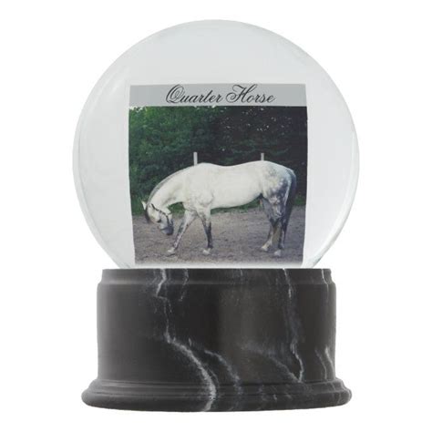 Quarter Horse Stallion Black Marble Snow Globe Quarter
