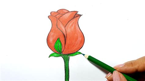 Hướng Dẫn VẼ Hoa HỒng I How To Draw A Rose Ii Ong Mật Mỹ Thuật 96