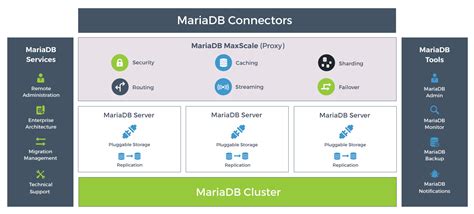 Por Qué Utilizar MariaDB como Alternativa a MySQL Programa en Línea