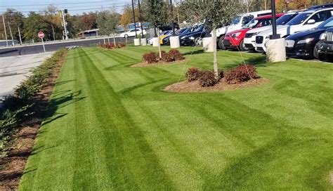 Commercial Lawn Care Atypical Lawn Care