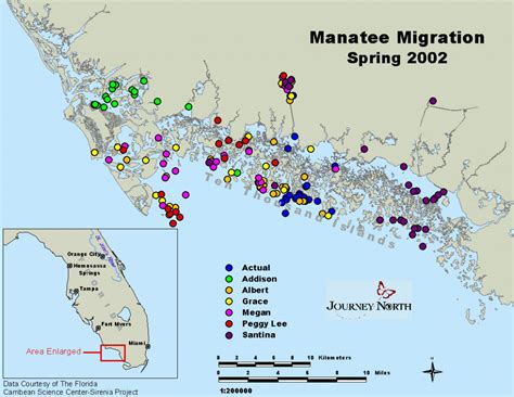 Manatee Florida Map Free Printable Maps
