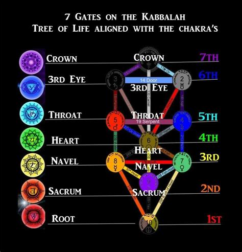 7 Gates On The Kabbalah Tree Of Life Aligned With The Chakras