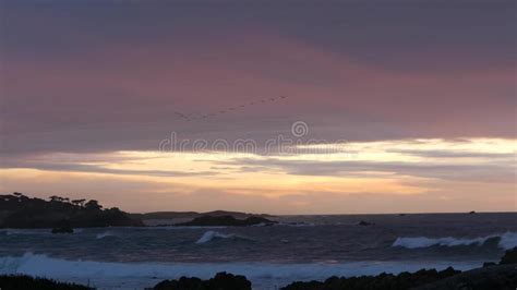 Rocky Ocean Coast Sea Waves Monterey Beach California Birds Flying