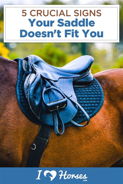 5 Important Signs That Your Saddle Doesnt Fit You Saddle Fitting