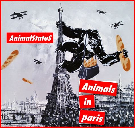 New Music Animalstatus “animals In Paris” Socialight