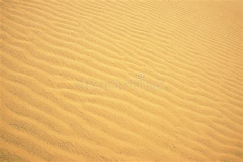 Ripple Golden Desert Sand As Background Sand Texture Pattern