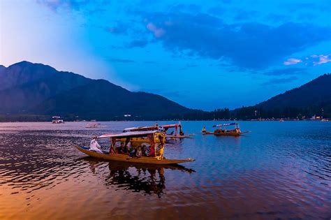 Shikaras Boats On Dal Lake At Sunset In Srinagar Kashmir Jammu And