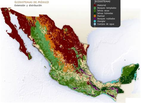 Ecosistemas De M Xico Cu Les Son Tipos Vegetaci N Fauna Y Ejemplos