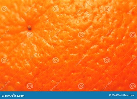 Orange Close Up Royalty Free Stock Image Image 6564816