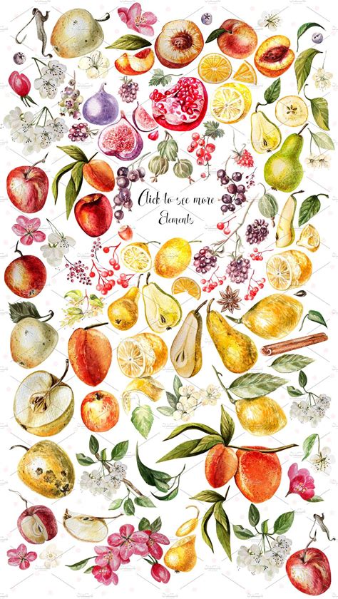 Hand Drawn Watercolor Bundle Fruits How To Draw Hands Watercolor