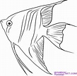 How to draw angelfish step by step - Hundreds of great drawing tuts on ...