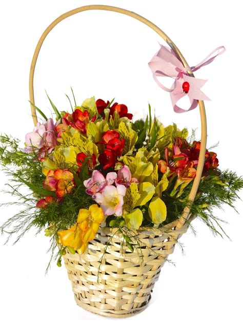 Gift for girlfriend birthday flower baskets. 6 Month Anniversary Gifts for Girlfriend - Giftinglory