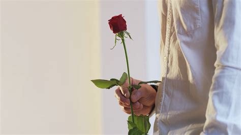 A Man Gives Red Rose To Woman Holds It Stock Footage Sbv 310775129