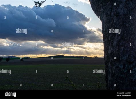 Sunrays Breaking Through Dark Clouds In The Distance With Dark Tree In