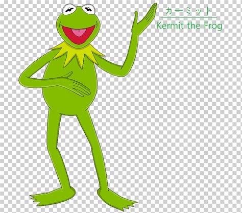 Kermit La Rana Png Klipartz