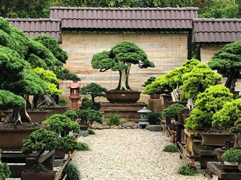 Pin By Bagus Wijaya On Sp2 Japanese Garden Landscape