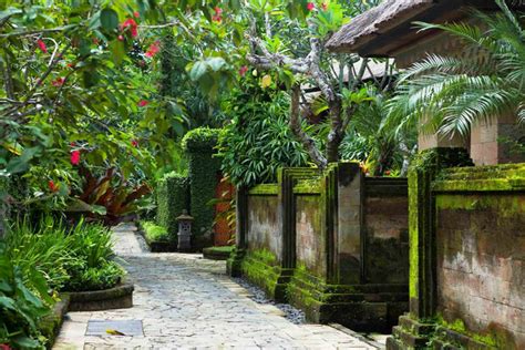 5 Ways To Have A Gorgeous Balinese Garden At Home