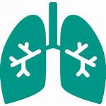 Icon Lungs