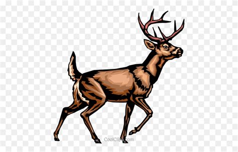 White Tailed Deer Royalty Free Vector Clip Art Illustration Whitetail