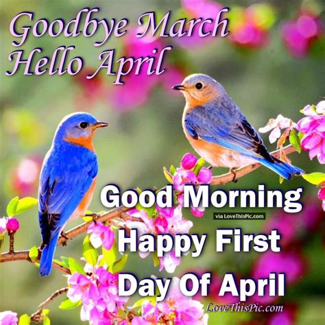 Good Morning Happy First Day Of April Pictures Photos And Images For