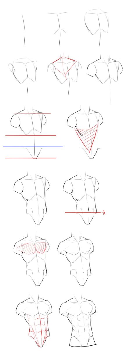 Pin By Алиса Белова On 인체드로잉 Drawing Poses Male Drawing Tutorial