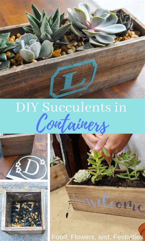 Diy A Succulent Container In 7 Easy Steps Succulents In Containers