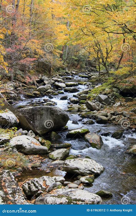 Smoky Mountain Fall Stream Stock Photo Image Of Creek 61963012