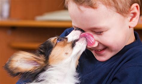 Rare Human Syndrome May Explain Why Dogs Are So Friendly Inside Science