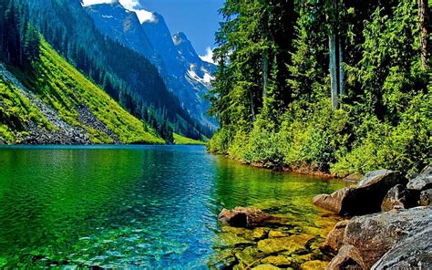 Lake Surrounded By Mountains Water Trees Green Mountain Lake