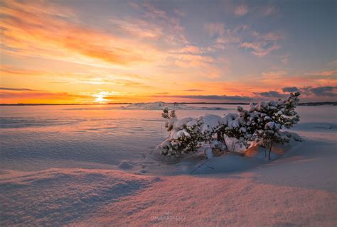 Winter Sunset In Finland Winter Sunset Sunset Sunset Photography