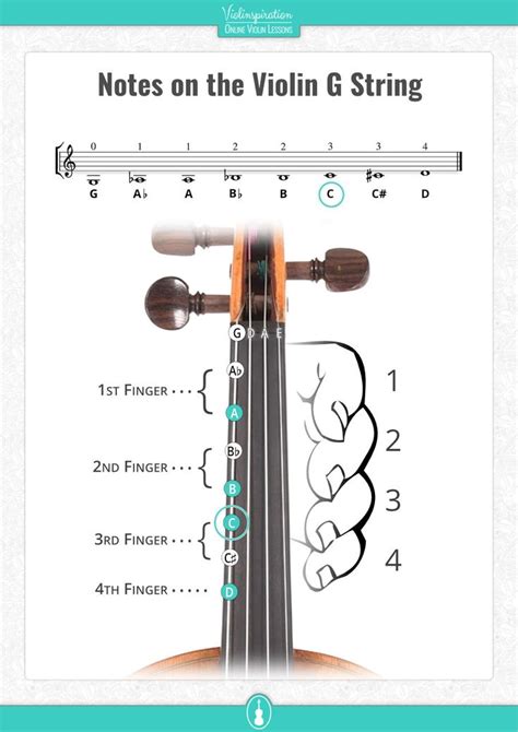 All Violin Notes For Beginners [with Easy Pdf Charts] Violinspiration Violin Beginner Music