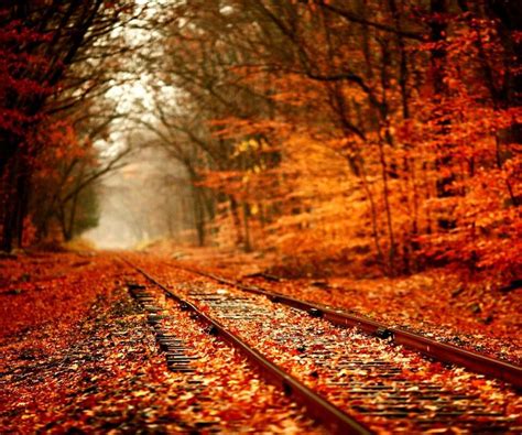 Autumn Rail Track Fall Wallpaper Scenery Fall Pictures