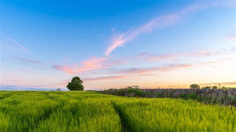 Grass Field By Chris Combe 3840×2160 Hd Wallpapers