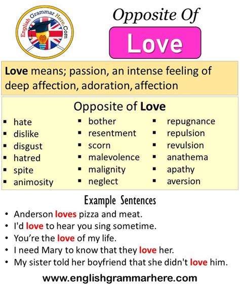 Opposite Of Love Antonyms Of Love Meaning And Example Sentences