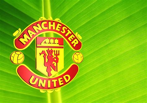 50 Man Utd Wallpapers Screensavers Wallpapersafari