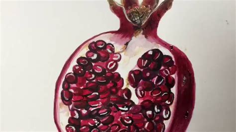 How To Paint A Pomegranate Botanical Illustration Vintage Arts By