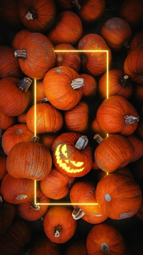 Halloween Pumpkins Iphone Wallpapers