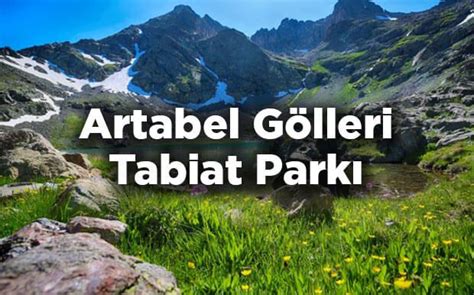 The Words Artabel Gollerri Tabbat Park In Front Of Mountains