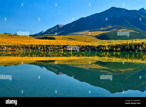 A Beautiful Autumn Reflective Image On Talbot Lake In Jasper National