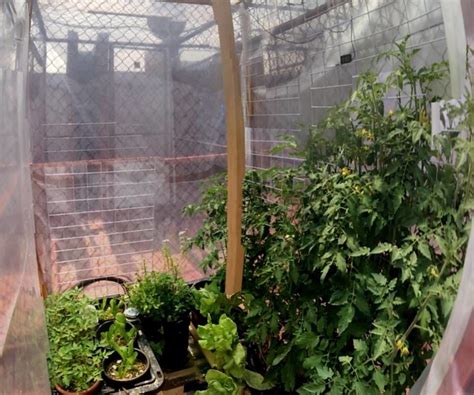 We've got 40 fun and terrific indoor greenhouse projects, just for you. DIY Rooftop Urban Greenhouse : 8 Steps (with Pictures ...