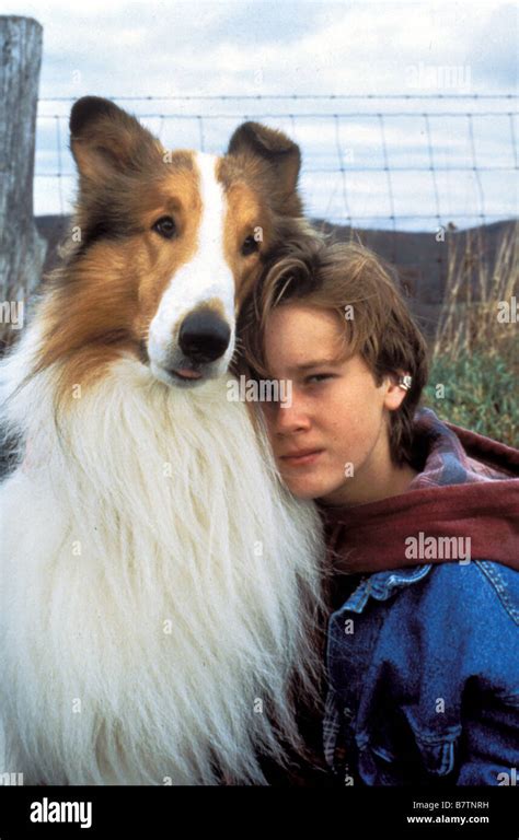 Lassie Lassie Year 1994 Usa Tom Guiry Director Daniel Petrie Stock