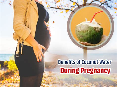 6 Benefits Of Drinking Coconut Water During Pregnancy Onlymyhealth
