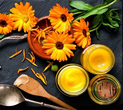 7 Skin Care Herbs For Your Annual Garden Herbal Skin Care Herbalism