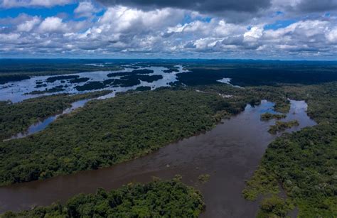Amazon Deforestation Up 20 In Past Year Environmental Watchdog Says