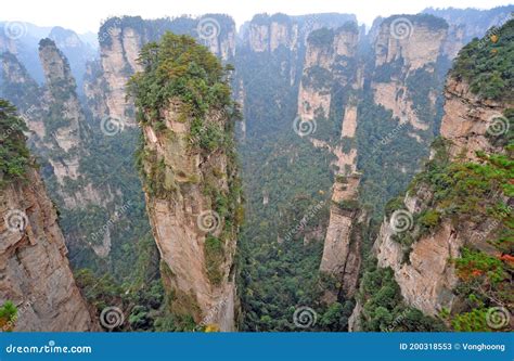 Zhangjiajie National Forest Park Gigantic Karst Pillar Mountains
