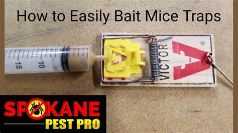 Bait Mouse Traps Fast Spokane Pest Pro Youtube