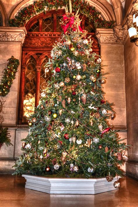 Beautiful Christmas Trees 5 Of The Most Beautiful Christmas Trees In