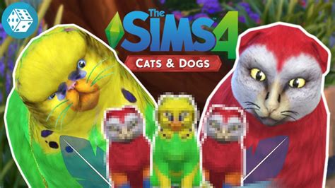 Birds Macaw And Bungie 🐦 🎲 The Sims 4 Create A Pet Youtube
