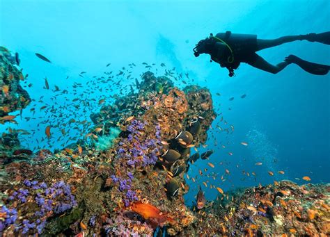 Scuba Diving Phuket Thailand Who We Are