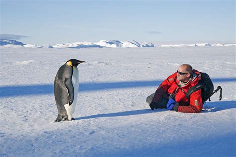 Tourism In Antarctica